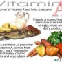 비타민A (Vitamin A)