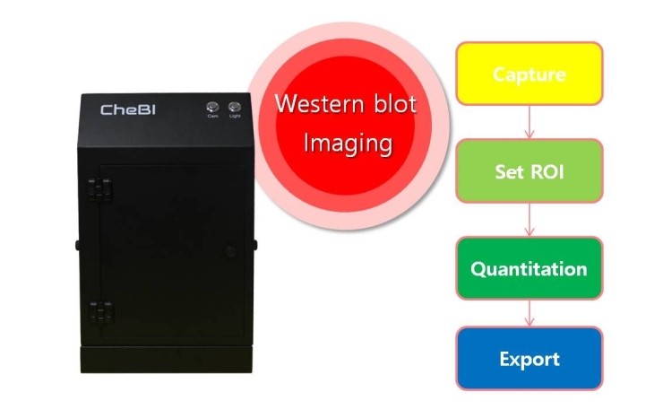 CheBI (Chemi-luminescence Bioimaging Instrument) : 네이버 블로그