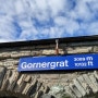 [스위스] 마터호른(Matterhorn) 가는 길 - 고르너그라트 전망대에서