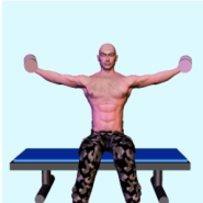 [어깨 운동법] 어깨 넓어지는 운동법