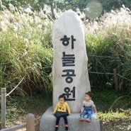 [가을나들이] 하늘공원 억세축제에서 맘껏 뛰어놀다 ♪ _ 맹꽁이 전기차탑시다!!