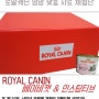 [ROYAL CANIN] 로얄캐닌 영양 맞춤 사료 체험단 후기