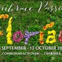 [호주|캔버라] 2014 캔버라 꽃축제 (Floriade 2014)