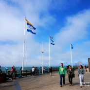 [샌프란시스코 여행] 샌프란시스코 관광의 메카 피어39 (Pier 39) 그리고 유니언 스퀘어(Union Square)
