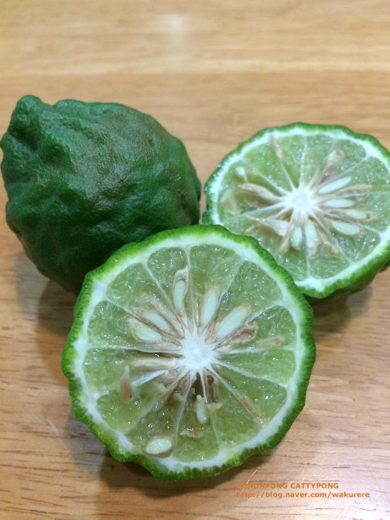 7. 카피어 라임 Kaffir Lime - 울퉁불퉁한 껍질을 가진 버릴것 없는 과일! : 네이버 블로그