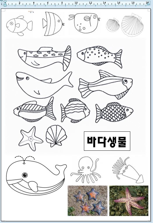 바다 생물 색칠하기