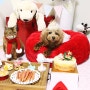 해피팡팡 강아지 고양이 케이크로 크리스마스 아페토방석 파티를 열었어요^^