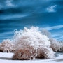 가을도 겨울로, 한여름도 한겨울로 바꿔버리는 사진들.. - 적외선 렌즈 (Infrared Lens, camere)의 세계