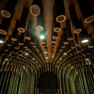 [빛과 대나무 그리고 연꽃:minax]tea room by minax creates optical effects with lotus + bamboo