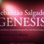 세바스티앙 살가두 展 Sebastião Salgado, 'GENESIS' (세바스치앙 살가도, 제네시스, 세종문화회관 예술동, 나의 땅에서 온 지구로)