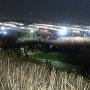 하늘공원 서울 억새축제 야경