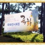 대전 유성 유림공원 2014년도 국화축제