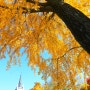 공세리 성당에 가을이 내려 앉고 있다