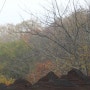 [용대자연휴양림] 만추... 벌써 가을이 아쉽다.