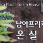 경기도 용인 추천 가을여행 한택식물원