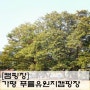 [캠핑장] 가평 푸름유원지(푸름유원지오토캠핑장)