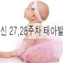 임신 27,28주차 태아발달