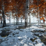 [UE4] White Of Birch Trees With Yellow Leaves