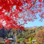 가을단풍여행 가볼만한곳 충청북도 단양 사인암의 가을풍경