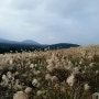 나홀로 제주여행 ③ 산굼부리 (20141026)