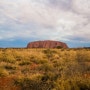 [호주여행실시간] 호주의 사막, 아웃백 울룰루투어 체험.