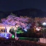 [서울랜드 야간개장] 화려한 불빛 포토존과 사진찍고 좋은추억만들수있는 놀이공원추천!