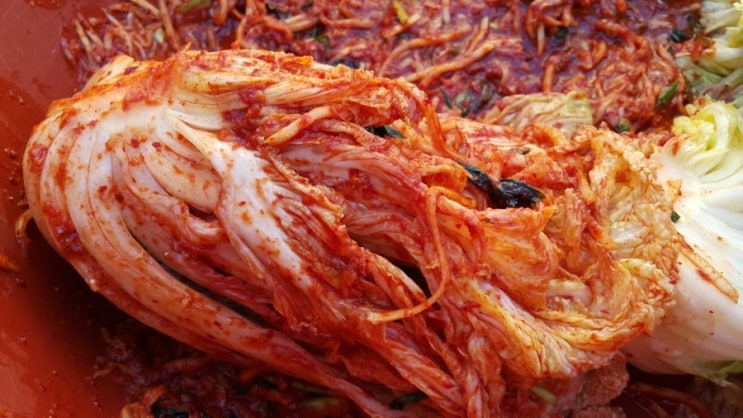 지산게스트하우스 시즌방에서 배추김치 김장하는 날!!! 맛있는 김치만들며 단합했어요~ : 네이버 블로그