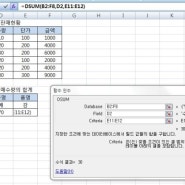 사무자동화산업기사 실기 - DSUM 함수