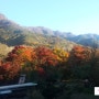 가을단풍-금오산단풍구경