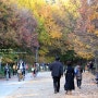 주말에 서울숲으로 나들이 다녀왔어요~ ^^
