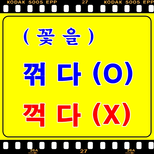 (꽃을) 꺾다(O) 꺽다(X) [회의록닷컴] : 네이버 블로그