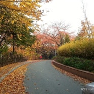 인천 수봉공원