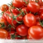 [판매완료]무농약대추방울토마토판매/가격/시세/5kg-0,000
