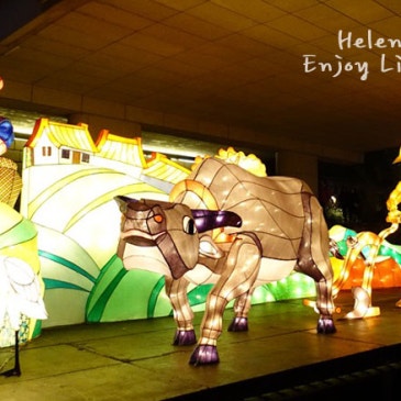 헬렌네는 청계 광장의 등불 축제 '2014 서울빛초롱축제'에 다녀왔어요~ RSS 대표 이미지