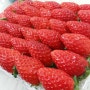 딸기 나오는 시기 # 겨울 딸기가 나왓어요~ 딸기 맛있어요!!