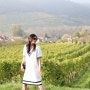 [강추] 오스트리아 여행기 _ 유네스코에서 지정한 해안도로!!! 와인너리 팁!!!