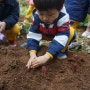 4세 놀이학교 추천 - 사이언스 아트스쿨의 즐거운 농장체험 ^^