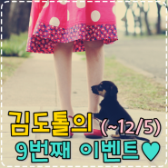 <마감> 김도톨의 9번째 이벤트(~12/5) ♥ ::: 김도톨의 생일을 축하해주세요ㅋ