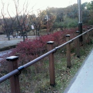 서울 보라매공원 11월 풍경~~ 가는길~~