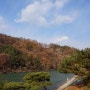 대전 유성에서 걷기좋은곳들 한밭수목원과 뿌리공원을 소개하다.