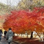 사과농장체험 예산사과농장 수덕사