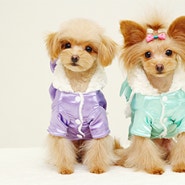 [유니크애견의류/아루루펫샵] 직수입 강아지 옷, 매끈매끈 반딱반딱 공단소재로 제작된 특이한 강아지코트.