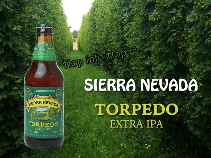 [ 맥주리뷰 ] Sierra Nevada Torpedo Extra IPA : 네이버 블로그
