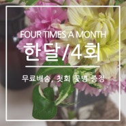 [다시,봄]대구 플라워서브스크립션,꽃정기구독_FOUR TIMES A MONTH 한달/4회 - 다시,봄 매주 한번씩 받아보기