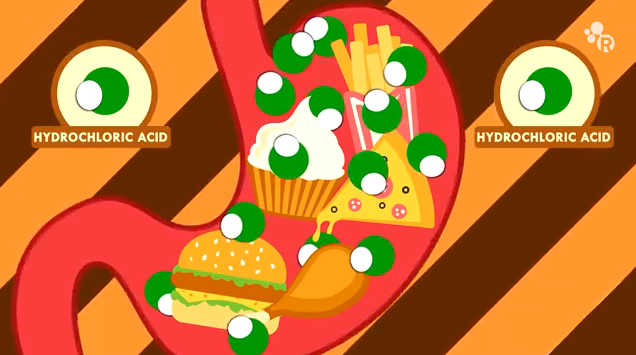 What Happens When You Eat Too Much - Reactions . : 네이버 블로그