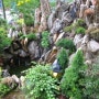 Rock Garden