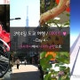 3박4일 도쿄여행 / 데이트♡ :: Day 4. 아사쿠사에서의 마지막날 ♪♬