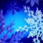 12월 첫날 눈, 눈의종류를 알아볼까요?
