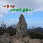[경북/울릉도] 신비의섬 울릉도 #2 : 성인봉을 오르다.
