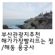 [부산관광추천] 해안절경이 아름다운 해가 빨리 뜨는 절 '해동용궁사'